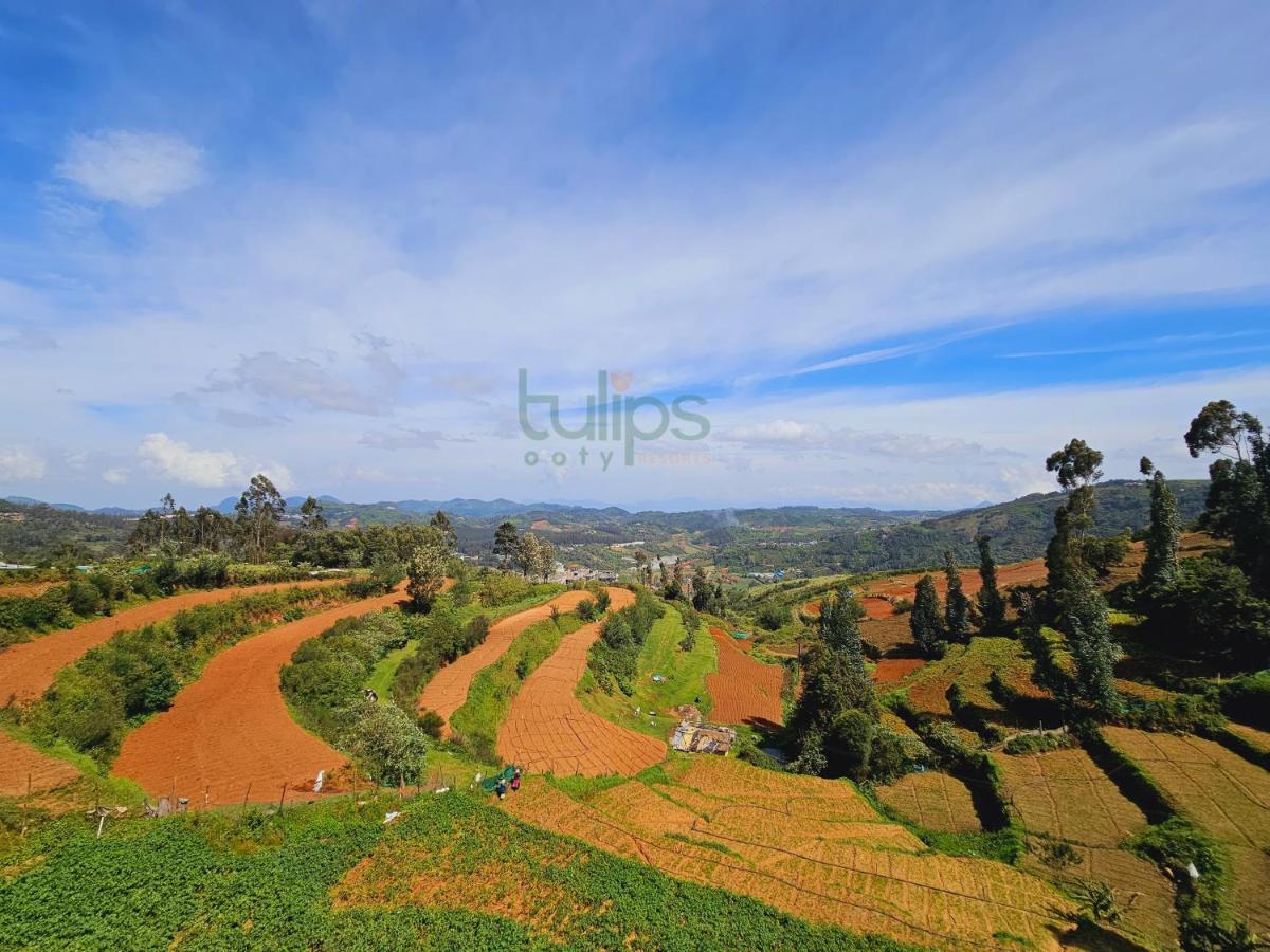 Tulips Village Resorts Ooty Exterior foto